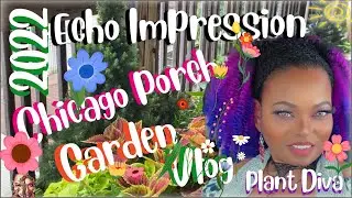 Chicago Porch Garden Impressions : Vlog ℒ𝞪𝑑𝝲 ℒ𝞪 Gata7@Plant Diva:It’s Just Me La Gata7! #plants