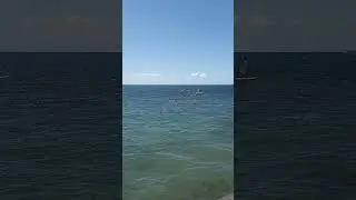 Анапа. Чёрное море. Пляж. Отдых. Краснодарский край. Лето. 19 августа 2024 г.