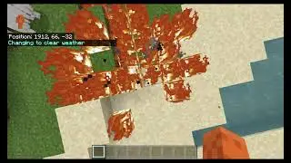 Pvp combos - Minecraft Nintendo Switch