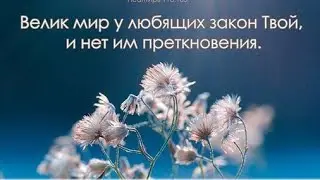 Помогите разобраться : В законе Господа воля его или вне закона?!