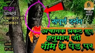 अचानक हनुमान जी प्रकट हुए नीम के वृक्ष पर हनुमान जी को देखने आए हजारों लोग साक्षात दिख रहे हैं
