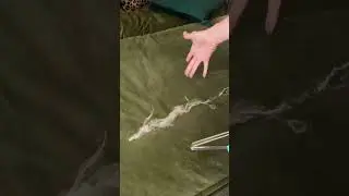 Viral Pet Hair Remover!!
