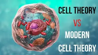 Cell Theory vs Modern Cell Theory