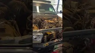V8 engine swap into 3rd Gen 4Runner! 