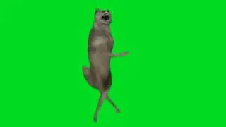 Green Screen Dog Dance Funny
