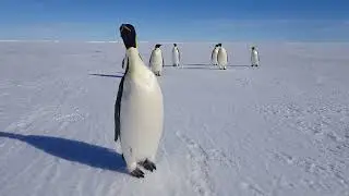 February 2022 in Antarctica