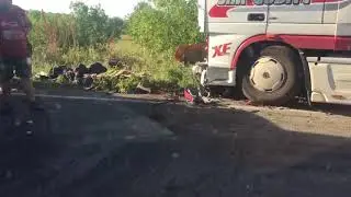 Жесть