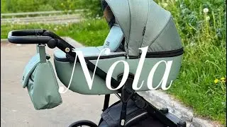 Коляска Adamex Nola