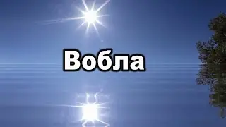 Русская рыбалка 3. Вобла