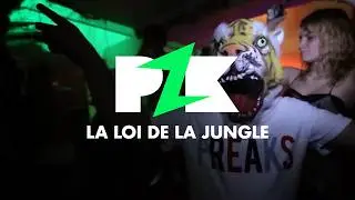 PZK - LA LOI DE LA JUNGLE (CLIP OFFICIEL)