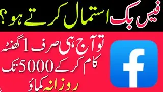 Earn 500 to 5000 daily from tiktok |   online earnings | Earn money online