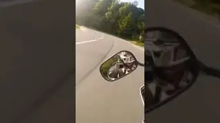 Мото vine
