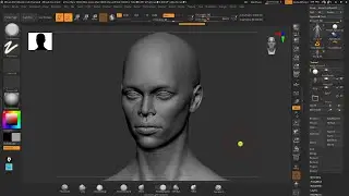 ZBrush - Brush Usage