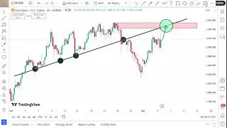 Forex Analysis Today | XAUUSD Trading Idea for 6 March 2025 By Scorpion Fx