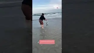 When life gives you a stranded shark, turn it into a beachside rescue mission! #rescuemission