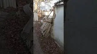 3 декабря 2023 г.