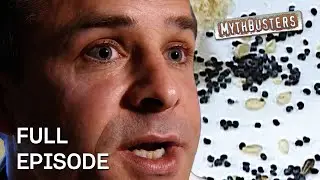 The Poppy-Seed Drug Test! | MythBusters | Season 1 Episode 16 | Full Episode