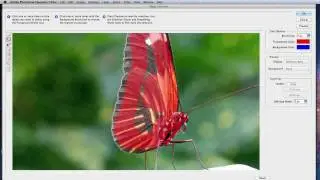 Photoshop Elements 10 Editor Tutorial: How to use the Magic Extractor.