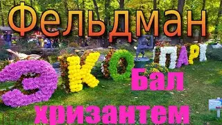 ФЕЛЬДМАН ЭКОПАРК, «БАЛ ХРИЗАНТЕМ ». Харьков. Видеоэкскурсия