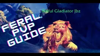 Dragonflight R1 Gladiator Feral Druid 70 PvP Guide - TOP DAMAGE OUT OF ALL CLASSES IN RBGS!!