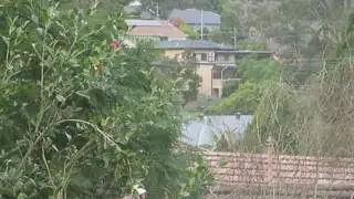 Canon G5X Zoom Field Test (17x 29.97 FPS)