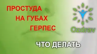 Простуда на губах или герпес. Что делать.
