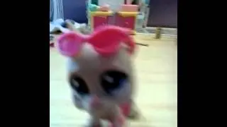 LPS Miss 4 část