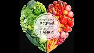 Быстрая перфорация пленки в ручную