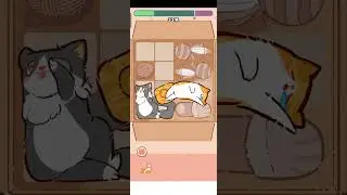 Cat Puzzle Gameplay 03