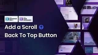Add A Scroll To Top Button On Your Website | Xara