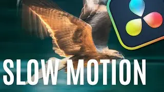 How to Add SLOW MOTION to Videos in Davinci Resolve in SECONDS!