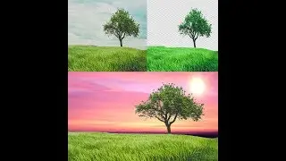 how  to select hair in Photoshop to cut tree in Photoshop