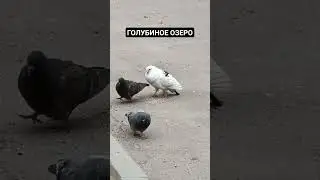 ПРОСТО 