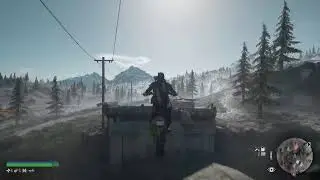 Days Gone