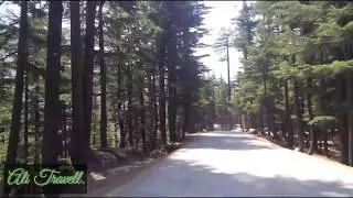 Kalam  jungle wala road.