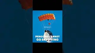 PENGUINS CANNOT DRIVE... #sad#meme#nostalgia#shorts