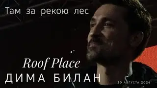 #димабилан Дима Билан - Там за рекою лес, на крыше RoofPlace 20 августа 2024 г. СПб