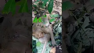 VID20221109110832