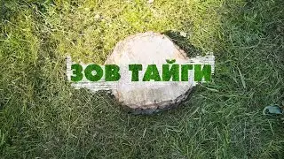 Фестиваль-конкурс «Зов тайги»