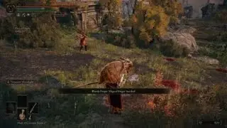 ELDEN RING™ - Moonveil'd PvP, plus a 0 damage riposte.