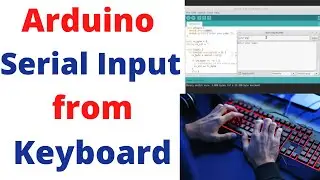 How to take Serial input from the User through keyboard - Arduino Tinkercad simulation