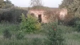 Барская Усадьба