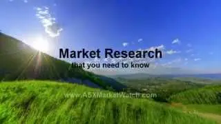 What Is The REAL Result of a Buy and Hold Strategy?  1000 Different Random Portoflios