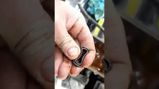 Замена прокладки клапанной крышки и замена сальников свечных колодцев на Nissan Almera classic