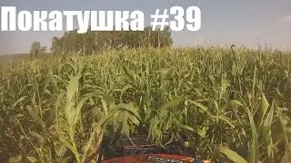 Покатушка #39