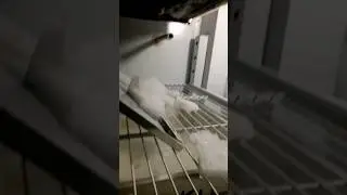 Как разморозить холодильный шкаф