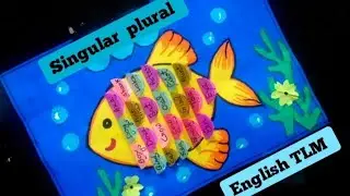 Singular and plural |English grammar TLM |One and Many  project # englishtlm 