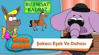 Şakacı Eşek ve Dahası - @KralSakirResmi