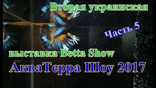 Вторая украинская выставка Betta Show на АкваТерра Шоу 2017, часть 5