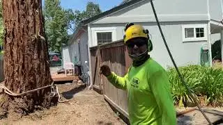 review mini skid steer Vermeer ctx